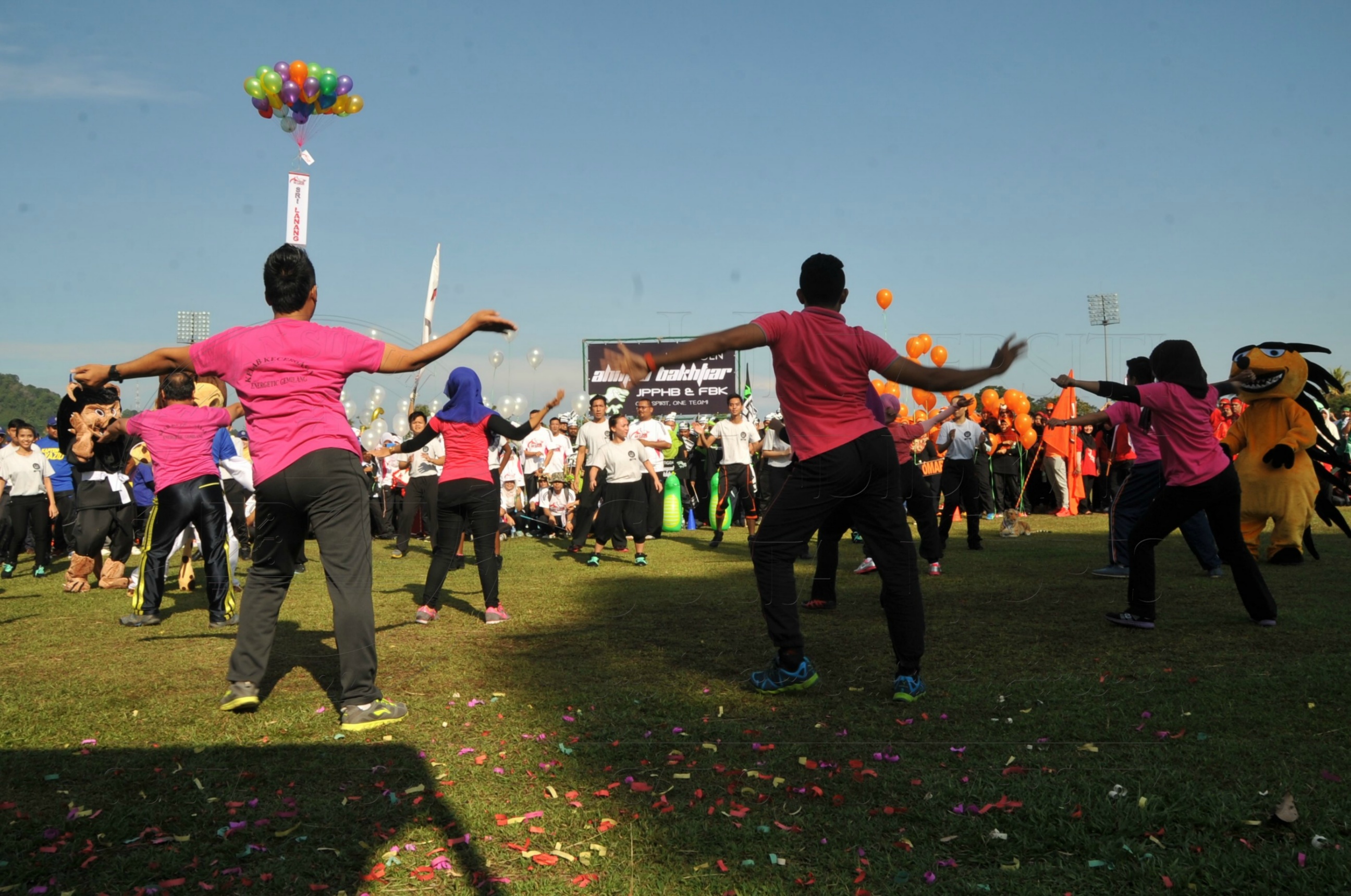 PRO 15 53 KIESTA HAS 3900